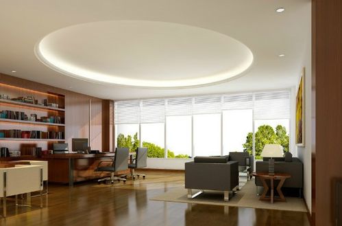 吊顶材料价格与室内门选购全攻略 预算与美观的平衡艺术